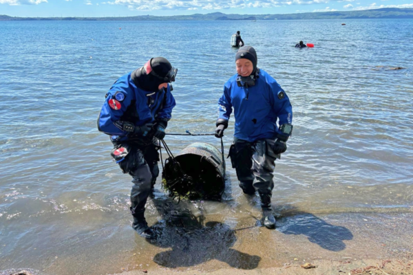 IMG 20240421 184158 (1) IMG 20240421 184158 (1)