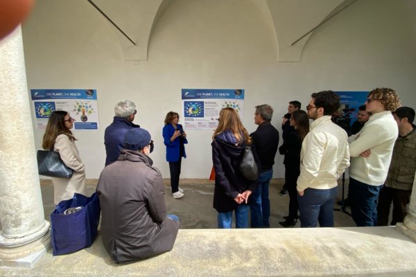 WhatsApp Image 2024 04 02 At 12.19.26