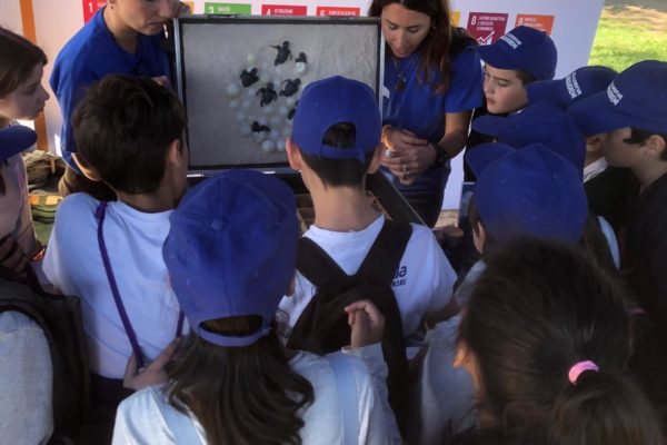 WhatsApp Image 2024 04 18 At 10.32.46