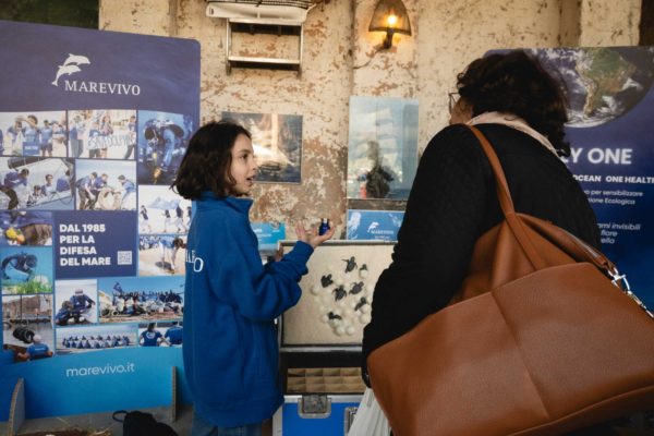 WhatsApp Image 2024 04 25 At 16.46.10 (1)