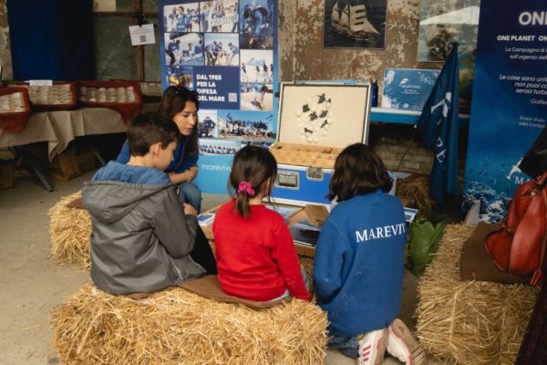 WhatsApp Image 2024 04 25 At 16.46.12