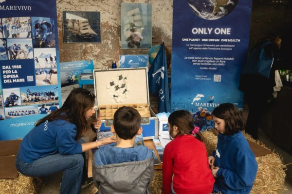 WhatsApp Image 2024 04 25 At 16.46.13