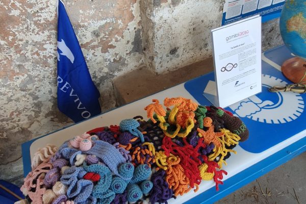 WhatsApp Image 2024 04 27 At 15.08.08