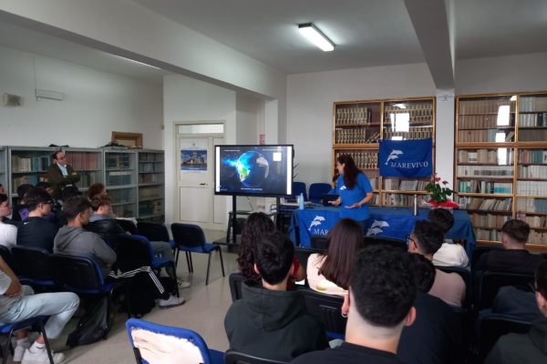 WhatsApp Image 2024 05 08 At 10.36.14