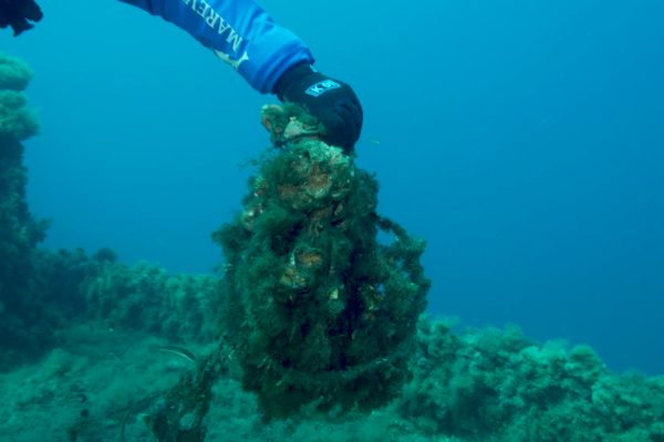 Divisione Subacquea Marevivo Rete Relitto Pavlos 13