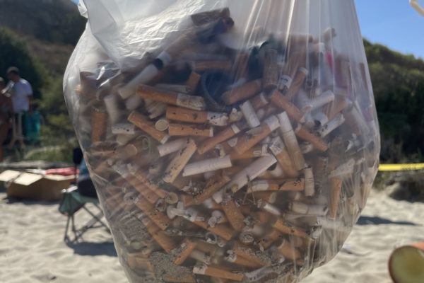 Image00004 Image00004