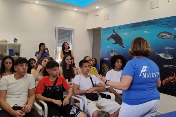 IMG20240617181051 IMG20240617181051