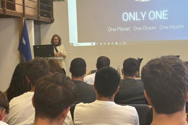 Only One A Civitavecchia (4)