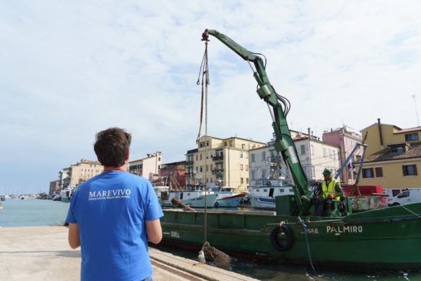 ZIGNAGO (6) ZIGNAGO (6)