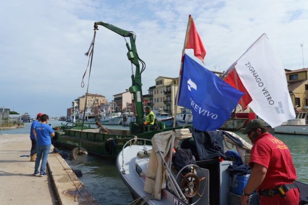 ZIGNAGO (8) ZIGNAGO (8)