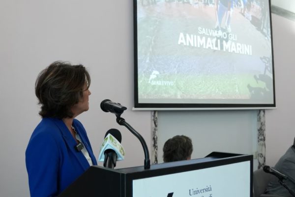 11 10 24 CONVEGNO UNIV. VANVITELLI DI NAPOLI (5)