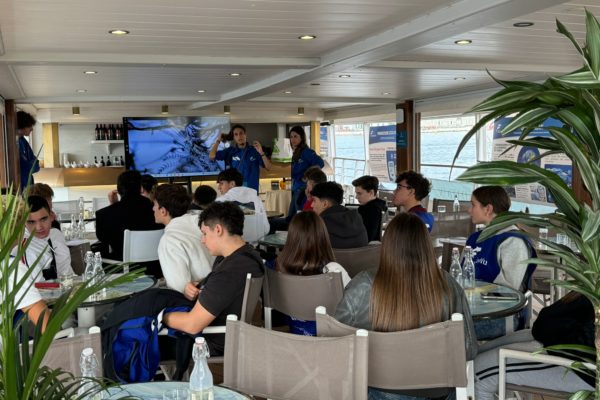 WhatsApp Image 2024 10 21 At 11.36.28