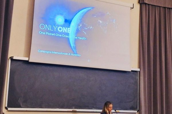 PHOTO 2024 11 18 20 48 56 1