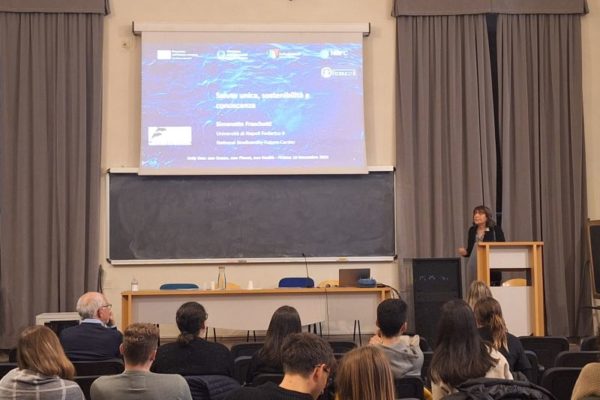 PHOTO 2024 11 18 20 49 20