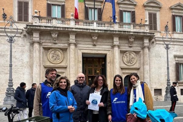 PHOTO 2024 12 19 14 29 28 PHOTO 2024 12 19 14 29 28