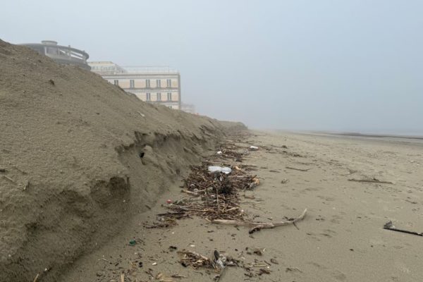 Image00003 Image00003