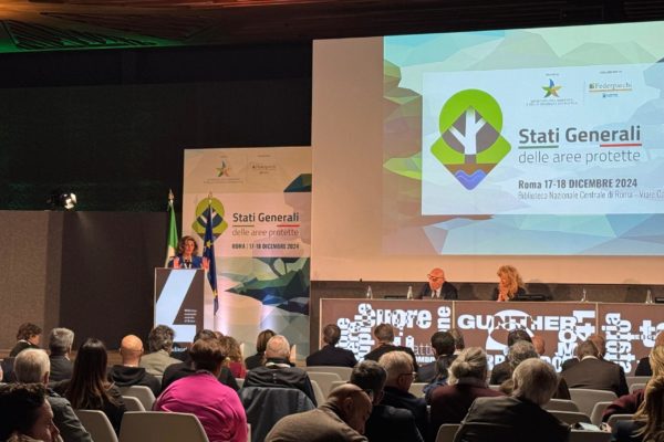 Stati Generali Stati Generali