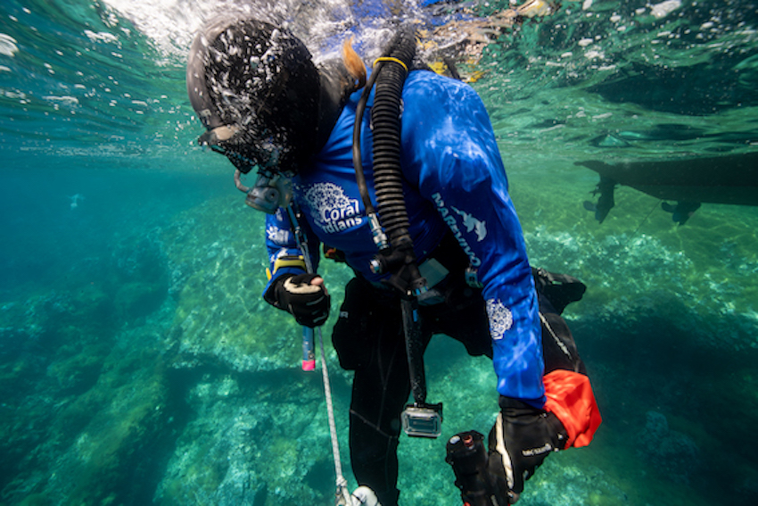 MedCoral Guardians Monitoraggio 114