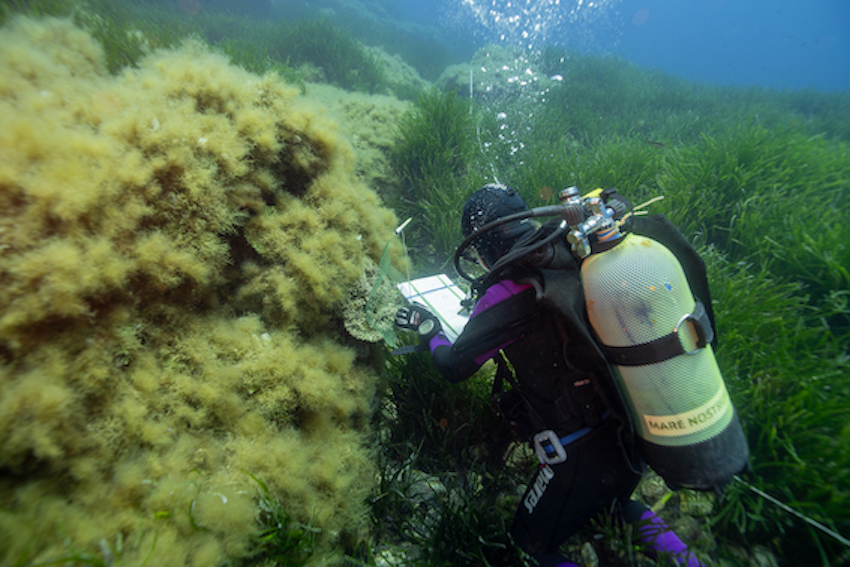 MedCoral Guardians Monitoraggio 132