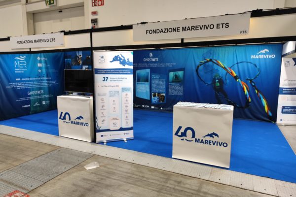 PHOTO 2025 02 20 20 15 52