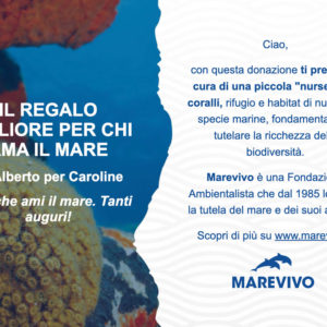 E-card Fai crescere una colonia di coralli