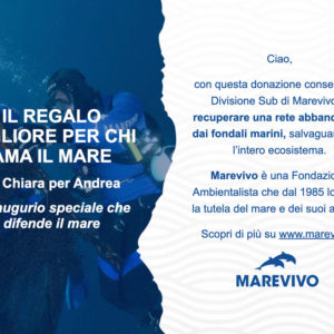 E-card Recupera una rete dai fondali marini