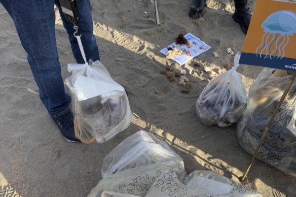 Adotta Una Spiaggia Ladispoli (1)