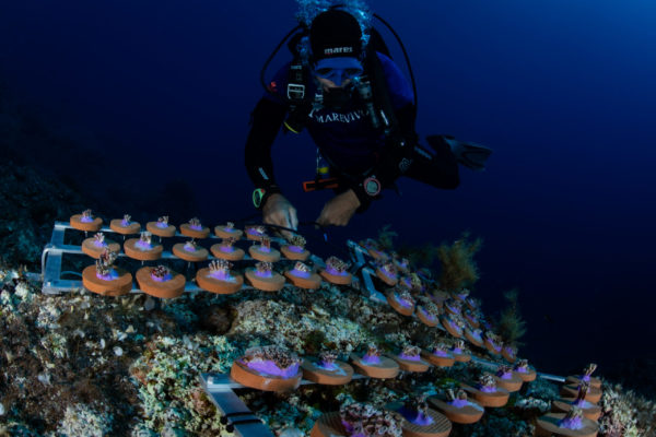 strutture restoraation con sub vicino strutture restoraation con sub vicino