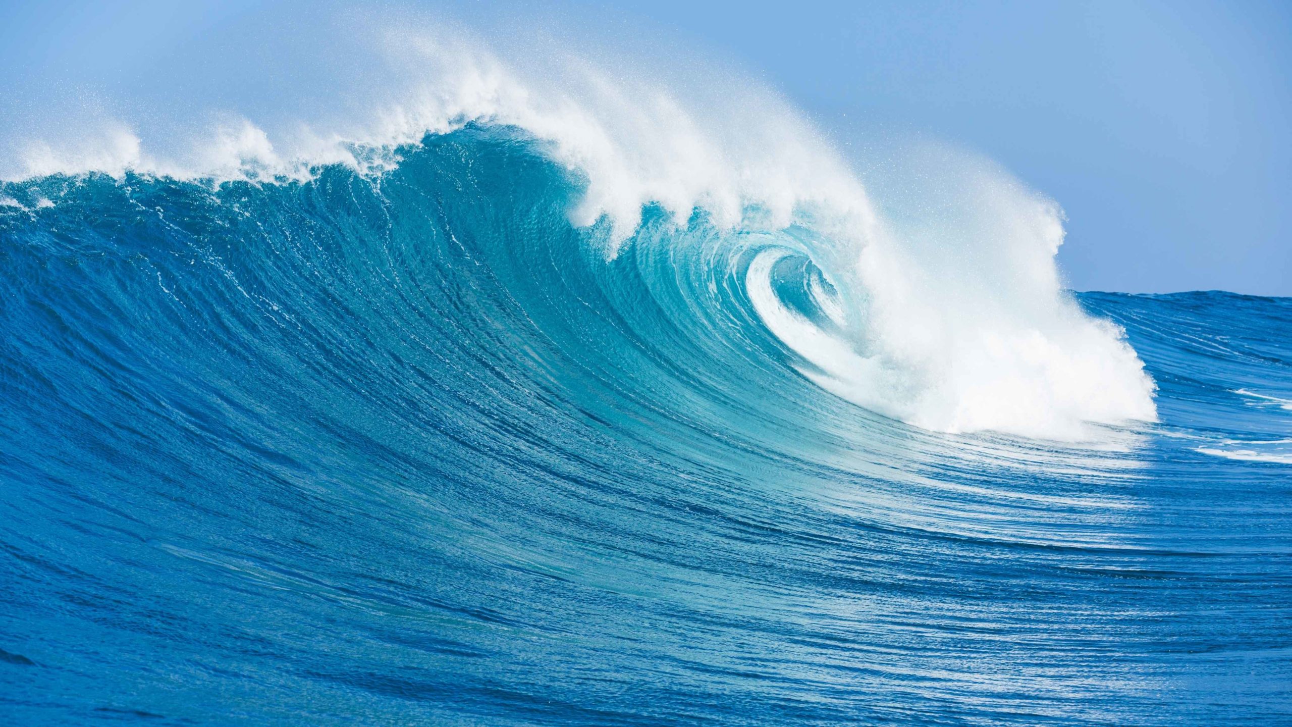 Giornata Mondiale degli Oceani 2025
