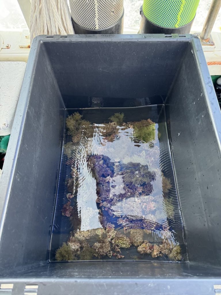 MCGUT Rest11.24 SURF©JSferlazzo04