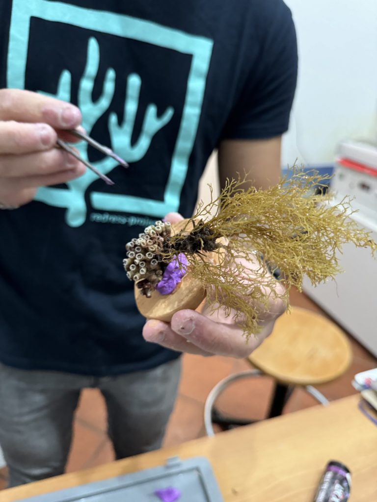 MCGUT_Rest11.24_SURF©JSferlazzo13