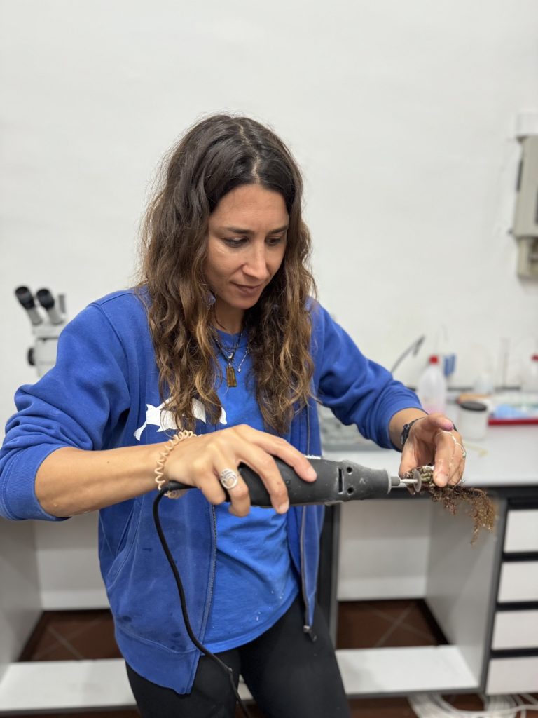 MCGUT_Rest11.24_SURF©JSferlazzo14