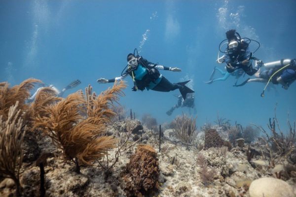 Marine Conservation Center (4) Marine Conservation Center (4)