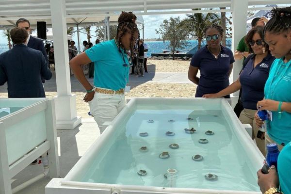 Marine Conservation Center (5) Marine Conservation Center (5)