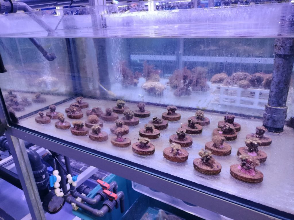 PHOTO-2025-03-25-09-54-16