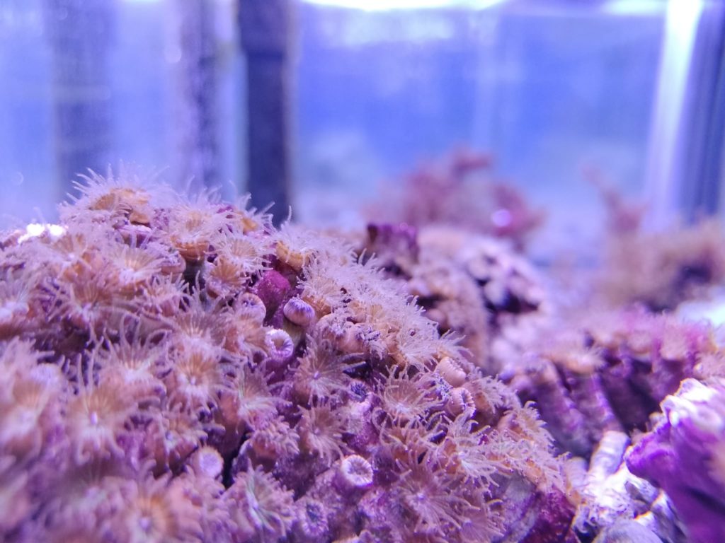 PHOTO-2025-03-25-09-54-16 2