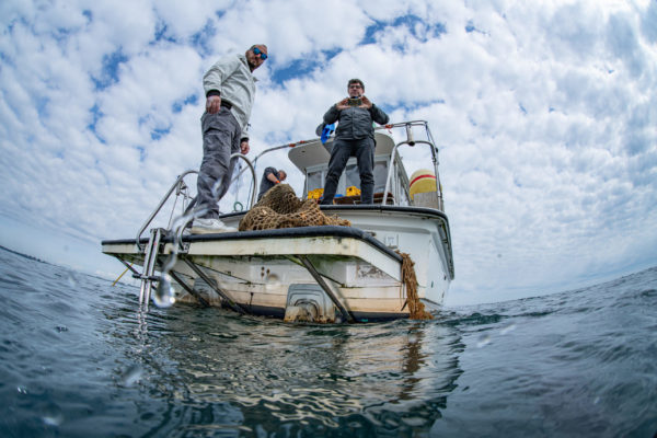 Recupero Rete Caorle 12