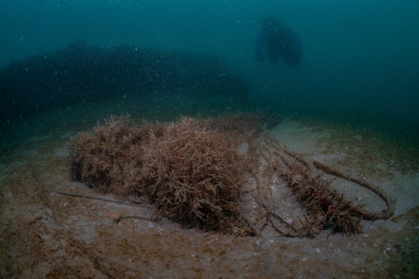 Recupero Rete Caorle 14 Recupero Rete Caorle 14