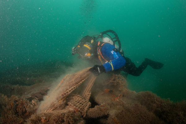 Recupero Rete Caorle 2 Recupero Rete Caorle 2