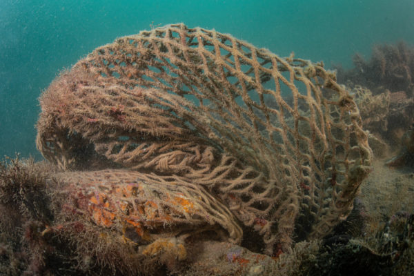 Recupero Rete Caorle 5 Recupero Rete Caorle 5