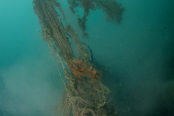 Recupero Rete Caorle 8