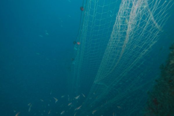 FOTO GHOST NETS 12