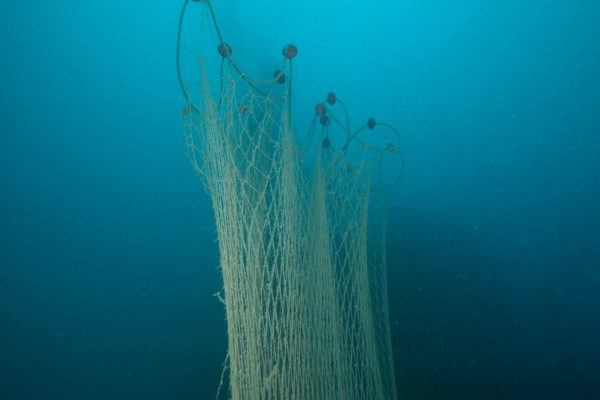 FOTO GHOST NETS 14