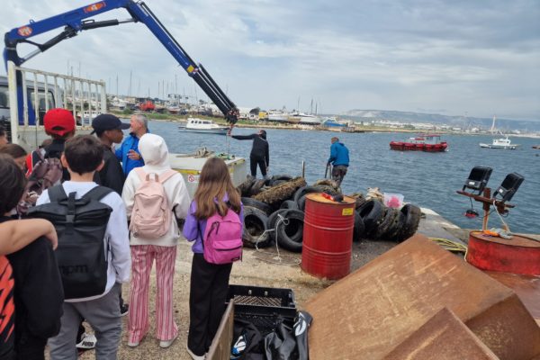 IMG 20250523 WA0014 IMG 20250523 WA0014