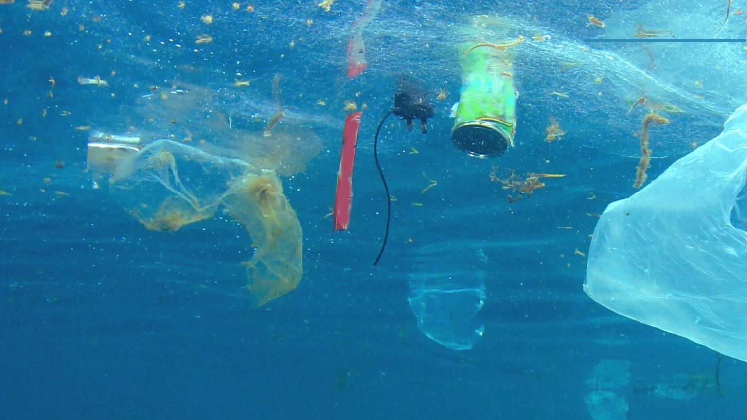 Legge “Salvamare”: 6.000 tonnellate di rifiuti pescati ma non esistono sistemi di raccolta a terra