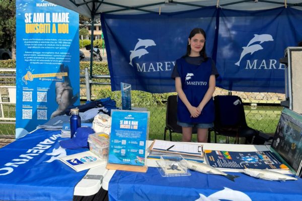 IMG 20250614 WA0006 IMG 20250614 WA0006