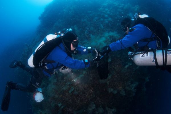 Marevivo Ph Filippo Borghi 10 Marevivo Ph Filippo Borghi 10