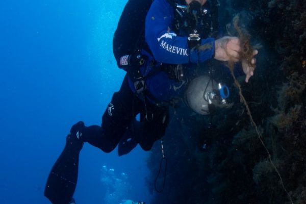 Marevivo Ph Filippo Borghi 11 Marevivo Ph Filippo Borghi 11