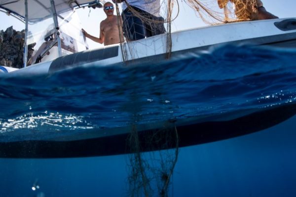 Marevivo Ph Filippo Borghi 6 Marevivo Ph Filippo Borghi 6