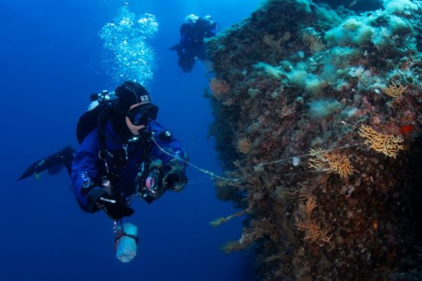 Marevivo Ph. Filippo Borghi 3 Marevivo Ph. Filippo Borghi 3